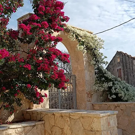 Villa Psaraki *